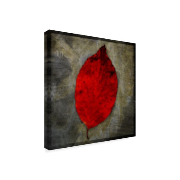 John W. Golden 'Red Dogwood' Canvas Art,18x18